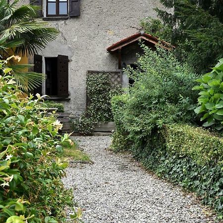 La Nuta Villa Faggeto Lario Eksteriør billede